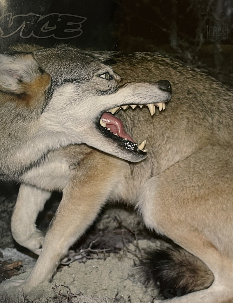 Vice - The Photo Issue 2007