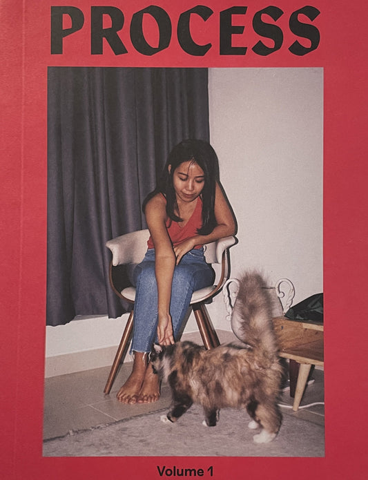 Process Volume.1 2023 November - Malaysia