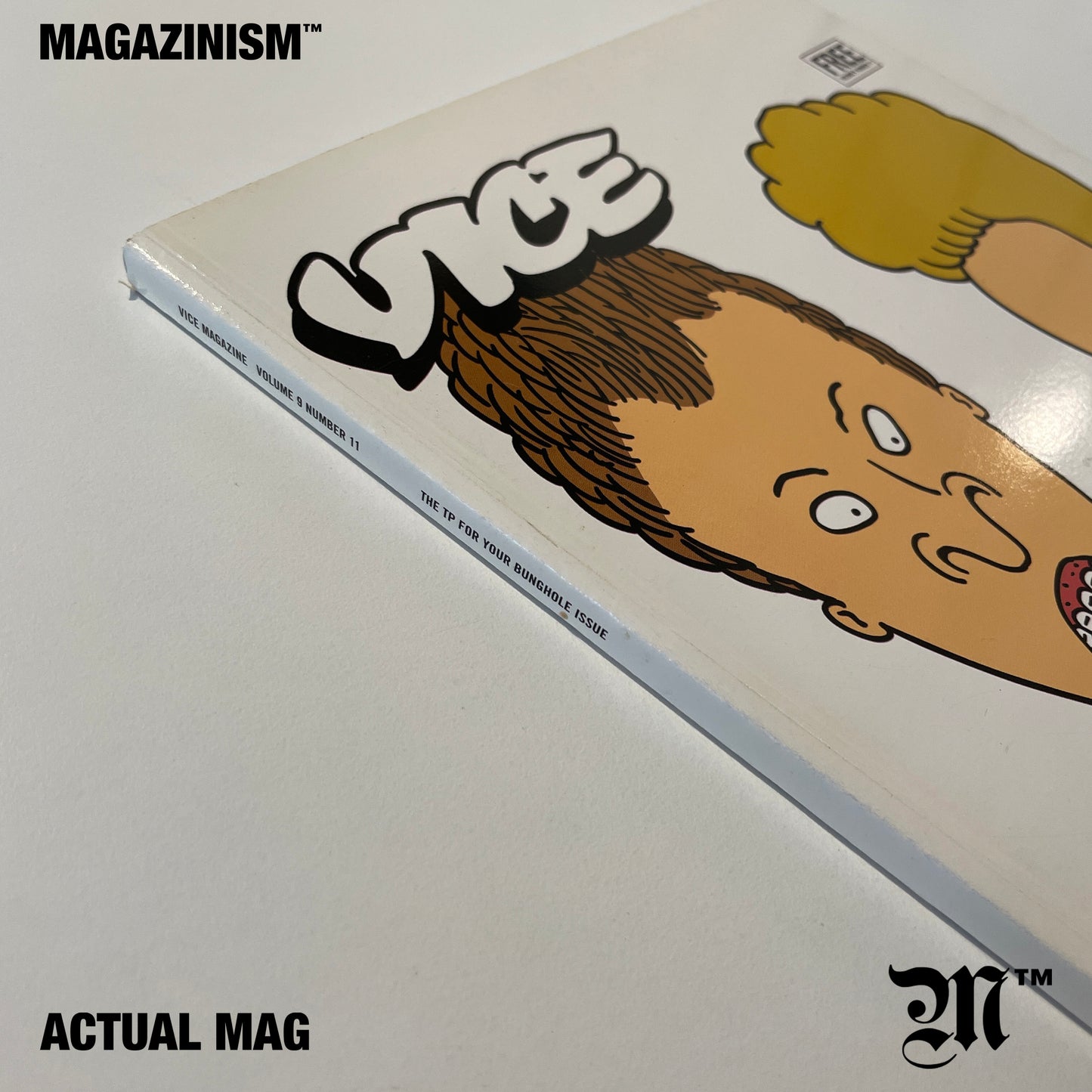 Vice UK - Beavis & Butthead 2011 December
