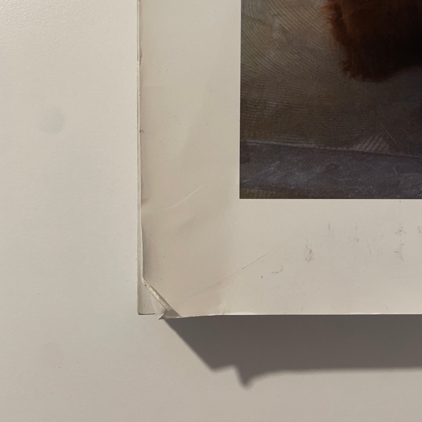 Re-Edition Spring / Summer 2023