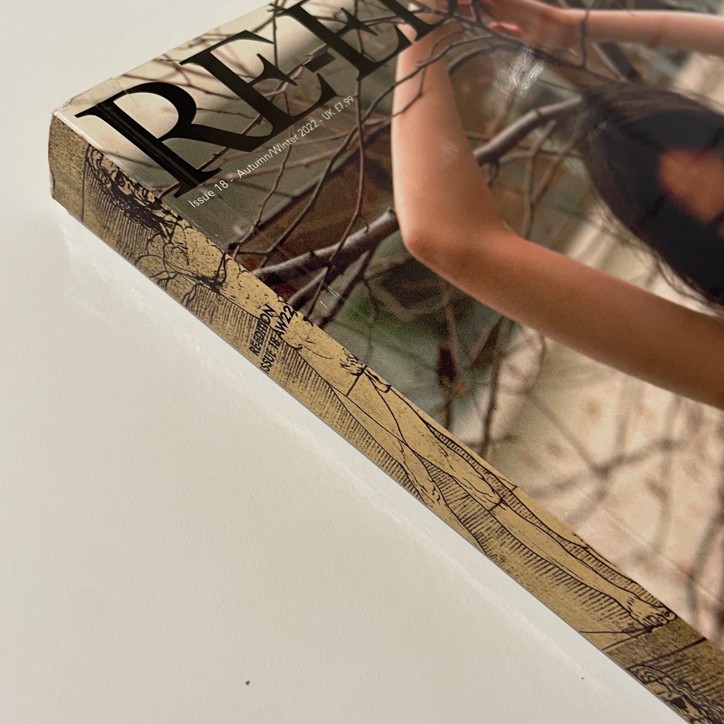 Re-Edition Autumn Winter 2022