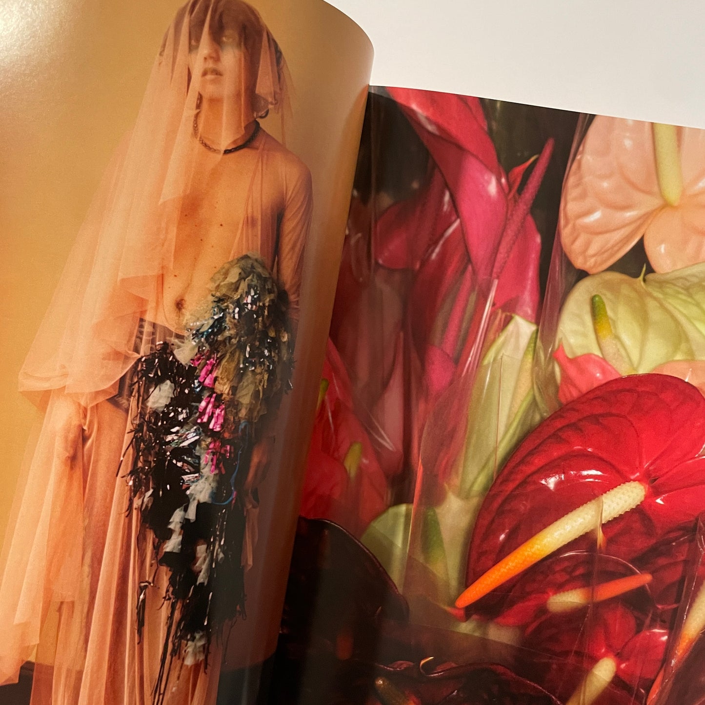 Re-Edition Autumn / winter 2017