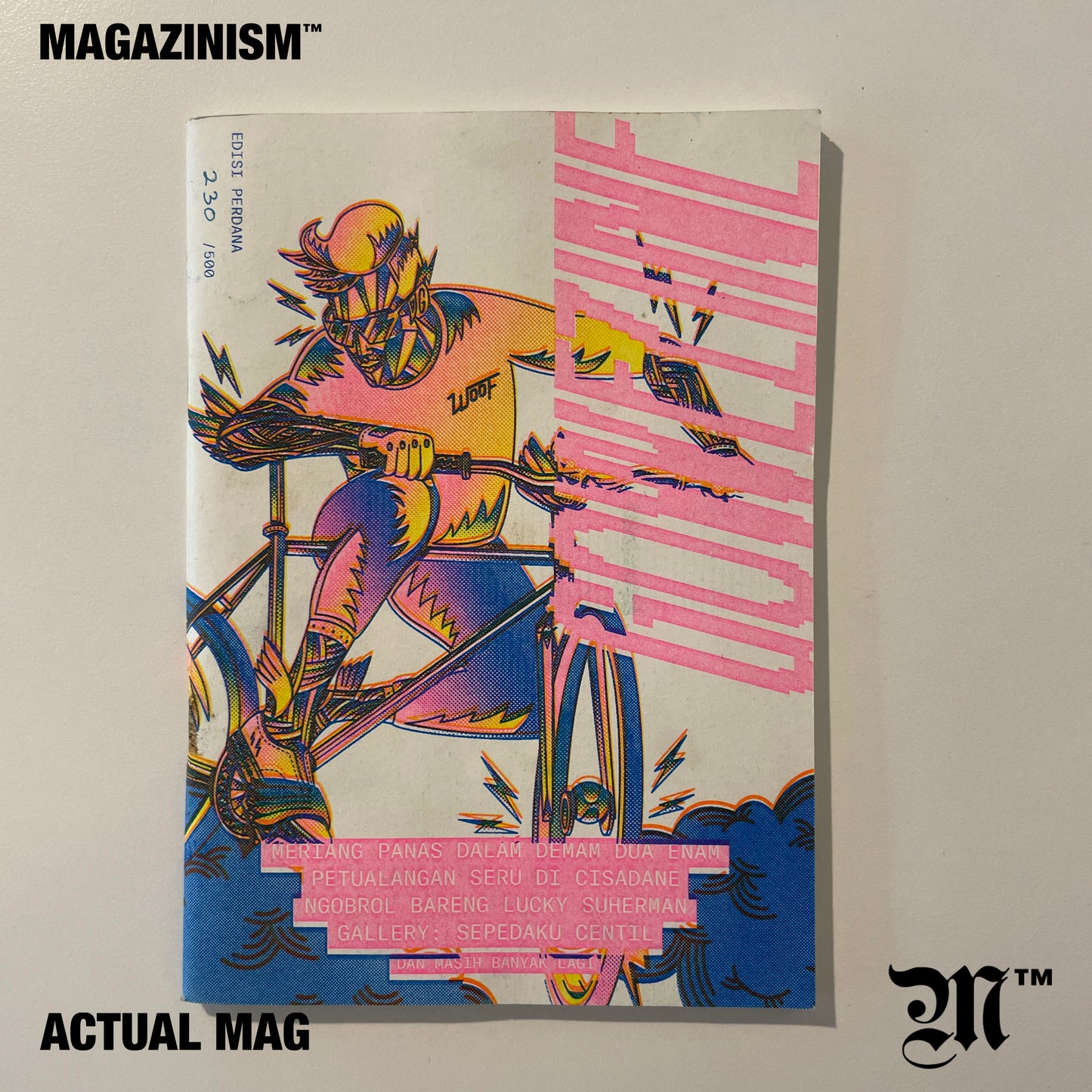 Gowezine - Cycling Culture from Jakarta 2020