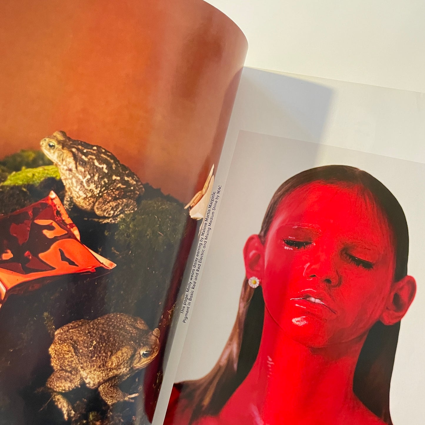 Another Magazine S/S 2015 - Rihanna