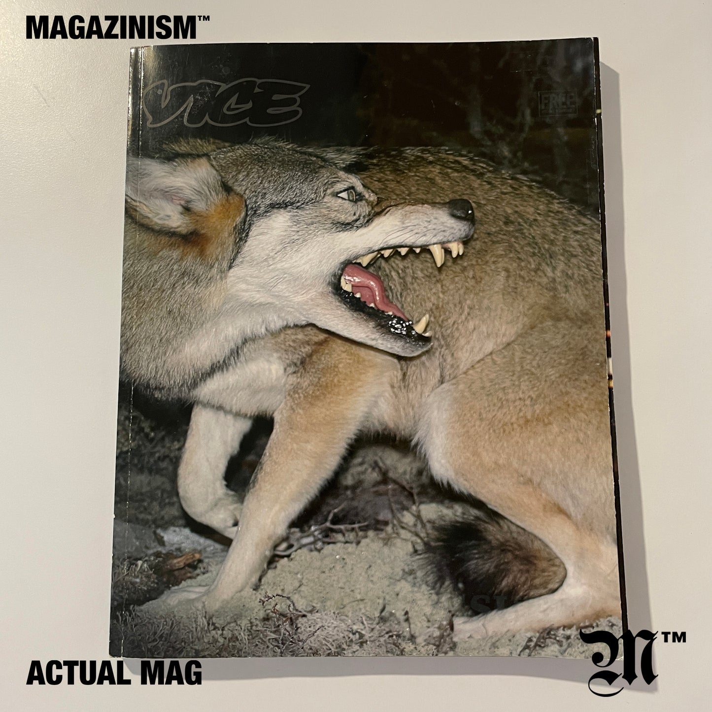 Vice - The Photo Issue 2007