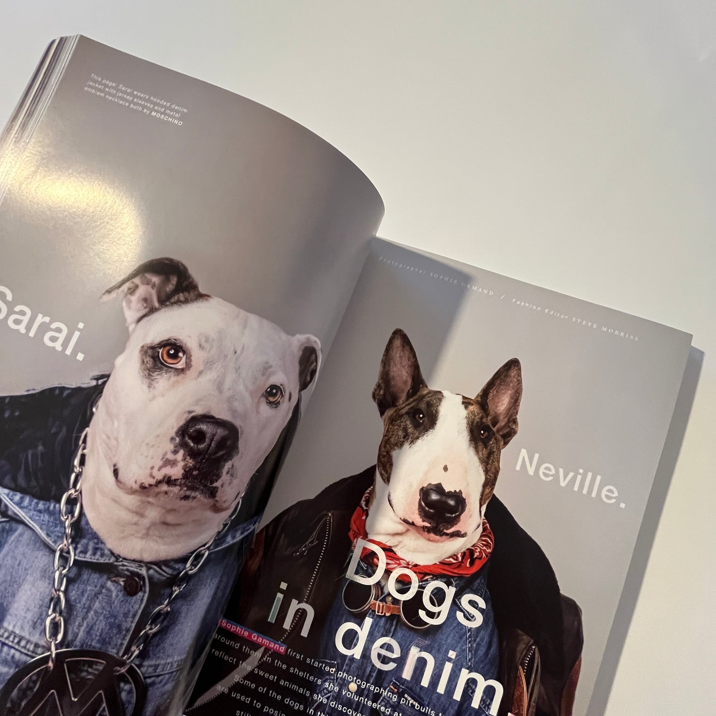 Love Magazine No.14 AW 2015 C-P3O Star Wars