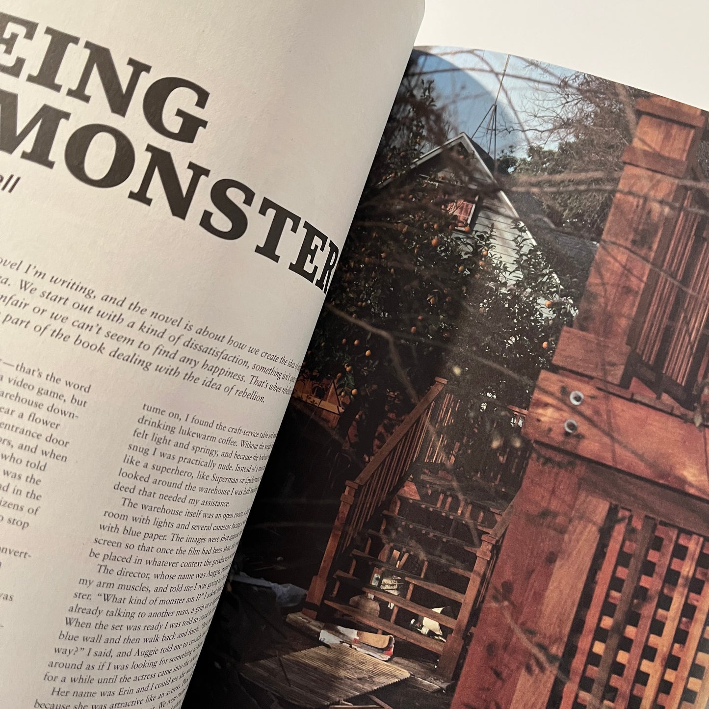 Vice UK - VOLUME 5 ISSUE 12