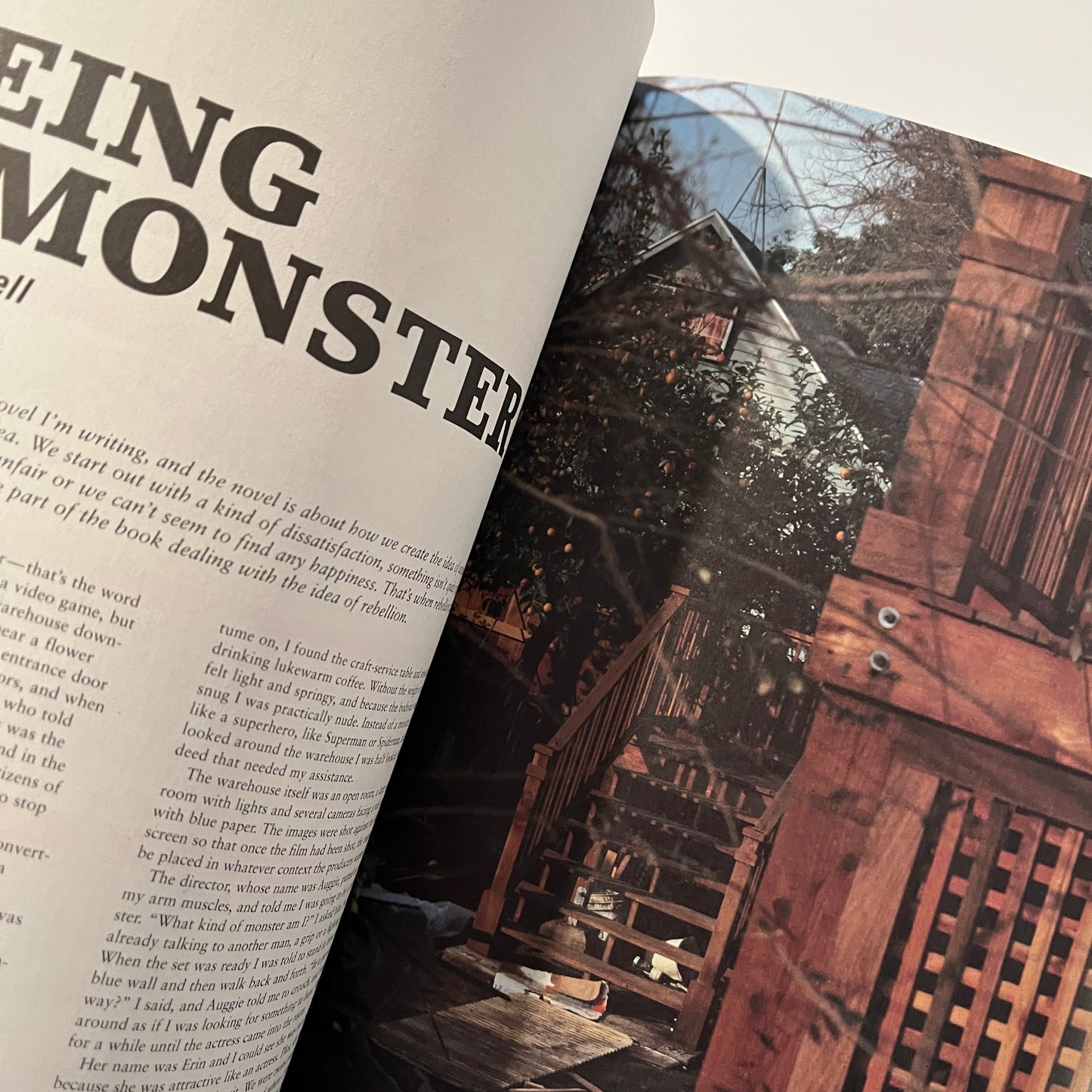 Vice UK - VOLUME 5 ISSUE 12
